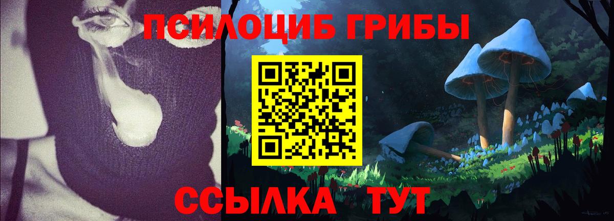 Галлюциногенные грибы Magic Shrooms  Вход с VPN  Будённовск 